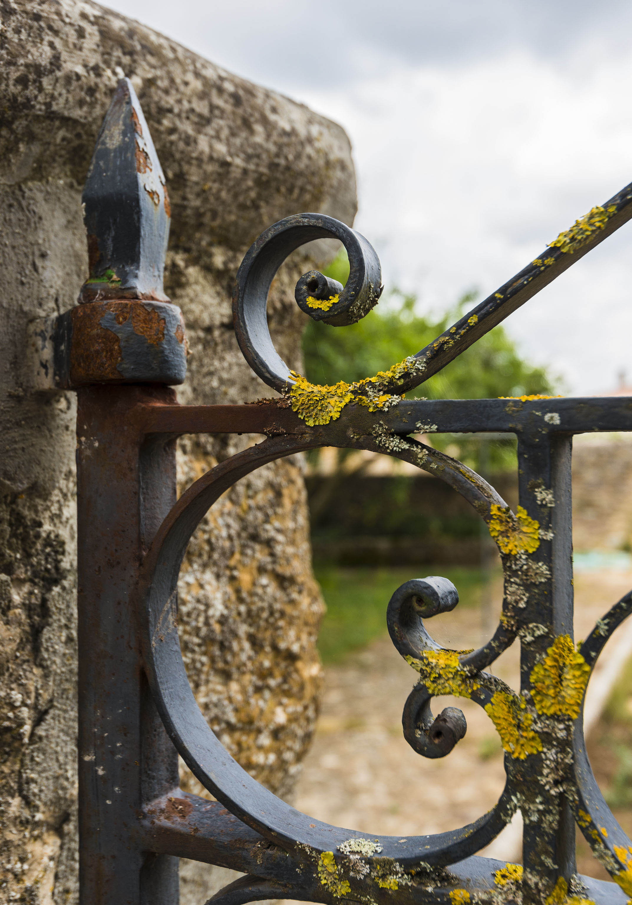 Jardín de la Nogala